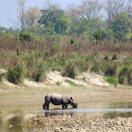 Forest Hideaway Resort Pvt Ltd Bardiya ภายนอก รูปภาพ