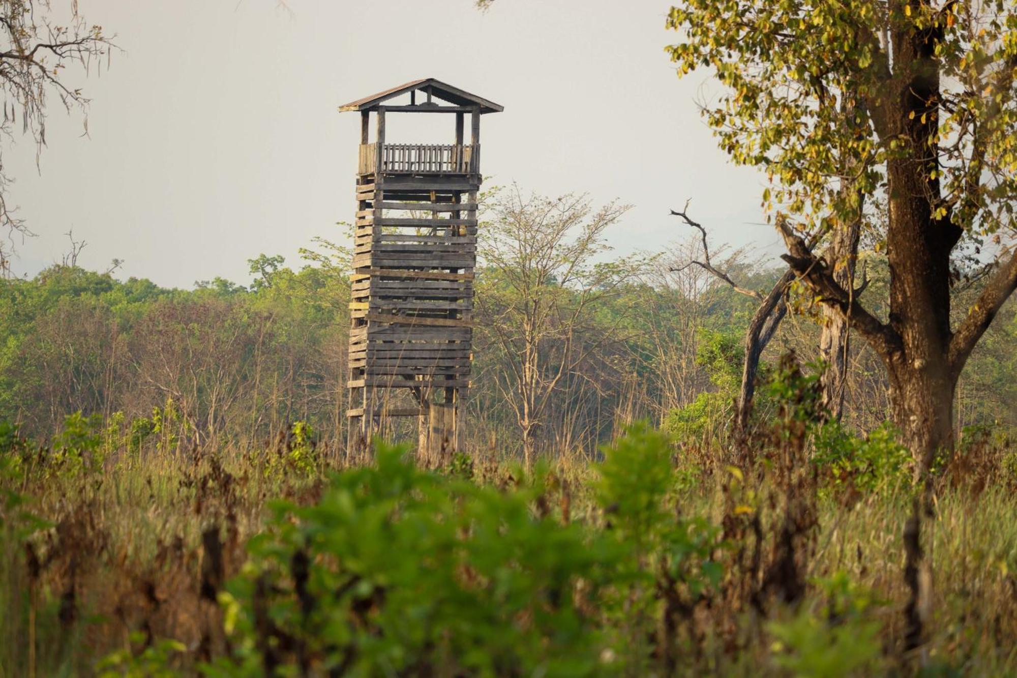 Forest Hideaway Resort Pvt Ltd Bardiya ภายนอก รูปภาพ