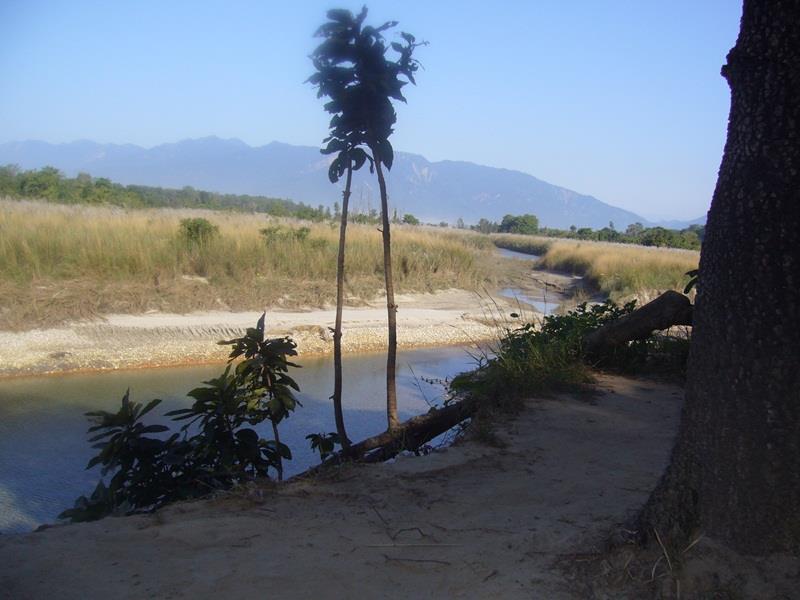Forest Hideaway Resort Pvt Ltd Bardiya ภายนอก รูปภาพ